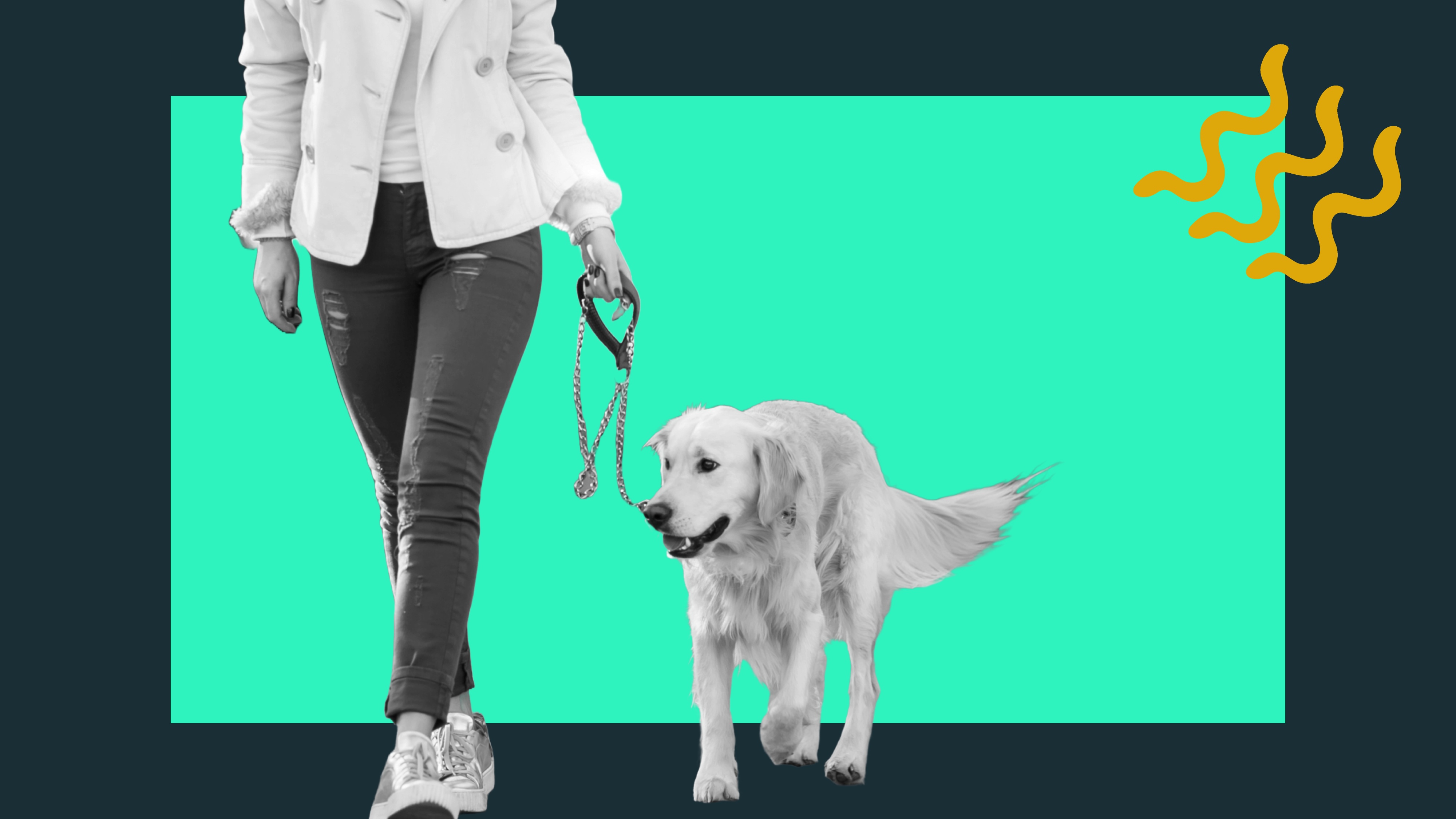 How To Start A Pet Sitting Or Dog Walking Side Hustle